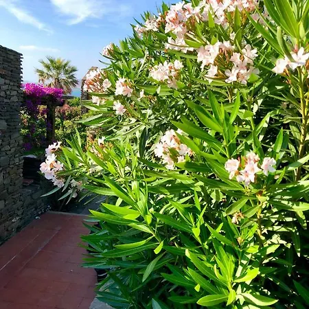 I Lentischi Holiday home *